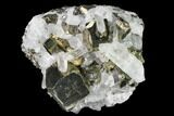 Quartz and Pyrite Crystal Association - Peru #141837-1